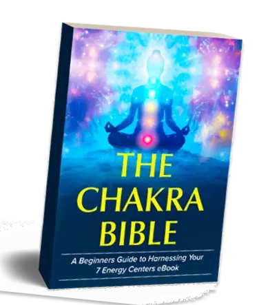 “The Chakra Bible”